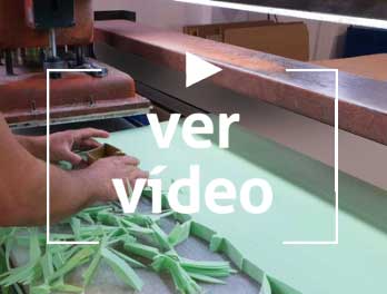 Selección de residuos Aelogui